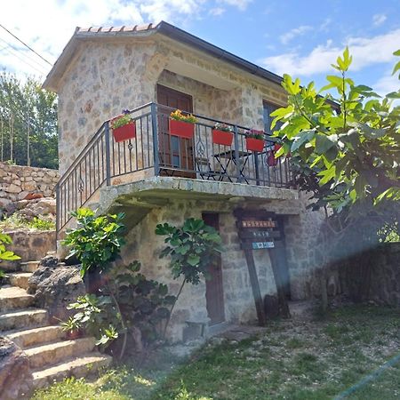 Vila Pegaz Virpazar Zewnętrze zdjęcie