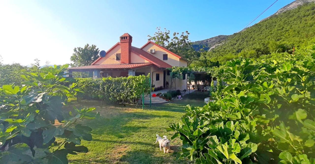 Vila Pegaz Virpazar Zewnętrze zdjęcie