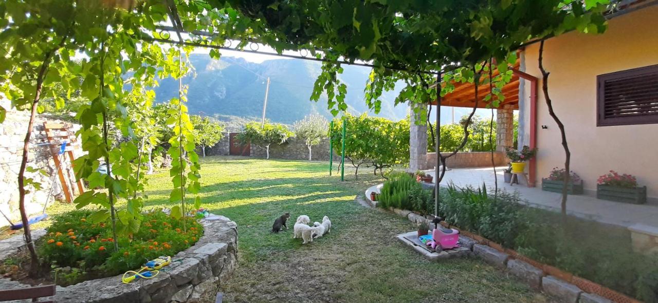 Vila Pegaz Virpazar Zewnętrze zdjęcie